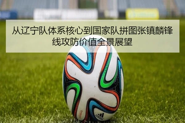 从辽宁队体系核心到国家队拼图张镇麟锋线攻防价值全景展望 | kaiyun