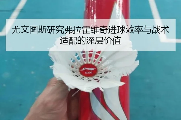 尤文图斯研究弗拉霍维奇进球效率与战术适配的深层价值